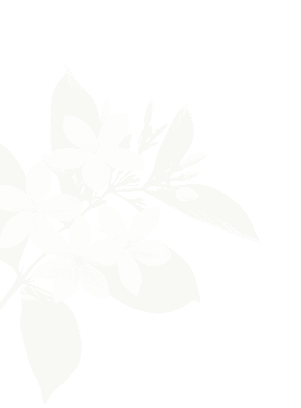 Right Flower
